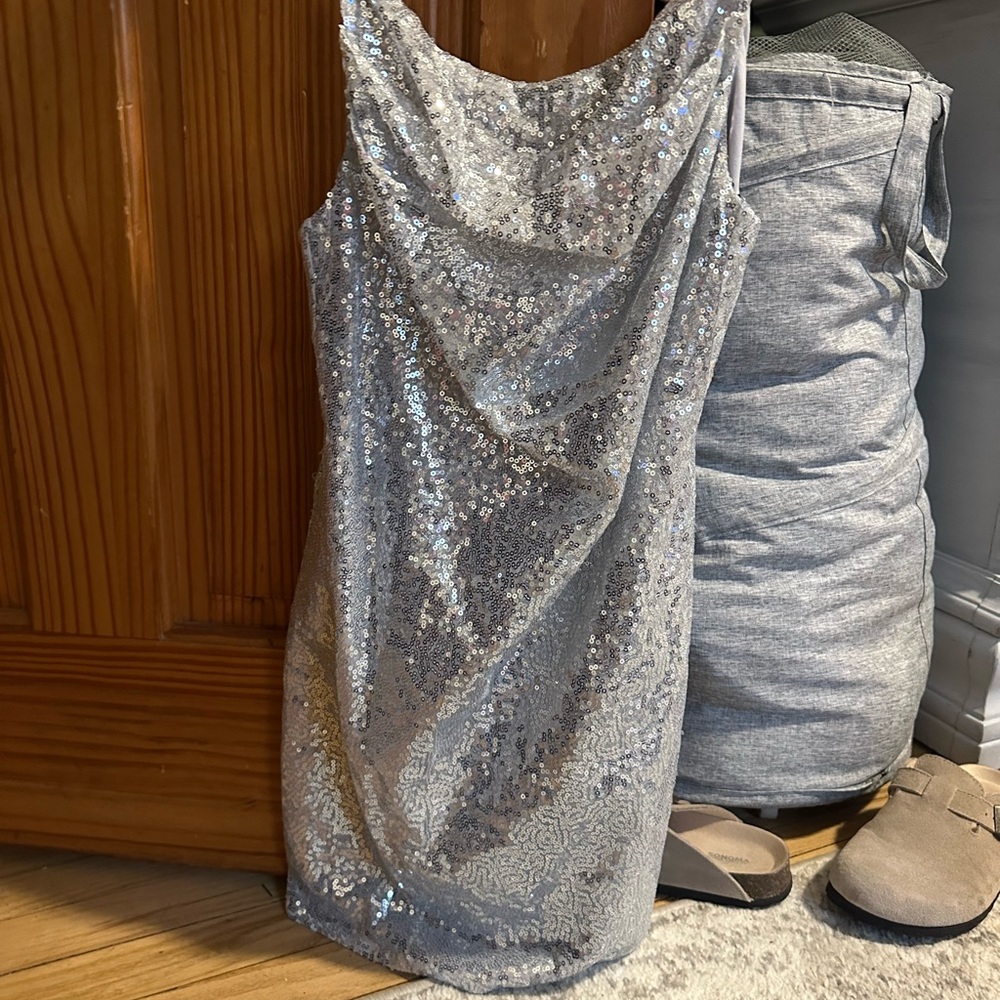 Elegant Silver Sequin Dress